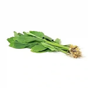 Haldi leaves