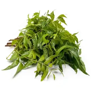Neem leaves